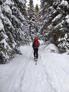 Ferienwohnung Zirbenzapfen - Auszeit in den Seetaler Alpen