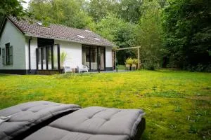 Vossenbelt - Buinerveen