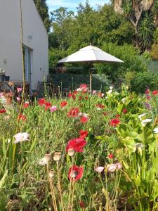 Good News Guest Units