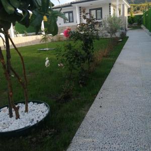 Airport Doğa evleri