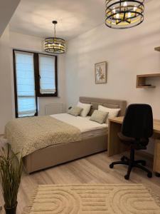 Studio Luxury Center