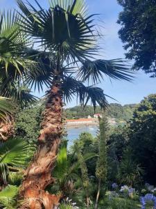 Maisons de vacances Villa de la Mer : photos des chambres