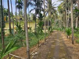 Palm Stays 3 acres vibrant greenary Vacation home - Dod Ballāpur