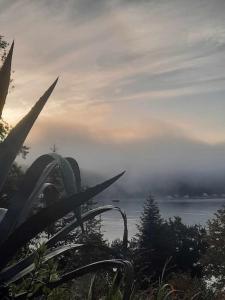 Maisons de vacances Villa de la Mer : photos des chambres