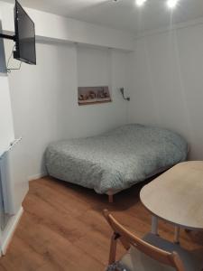 Appartements Studio Porteille d'Ax entierement renove ! : photos des chambres