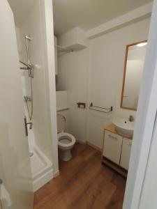 Appartements Studio Porteille d'Ax entierement renove ! : photos des chambres
