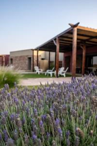 Hotel Castillos de Cafayate