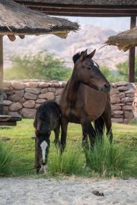 Hotel Castillos de Cafayate