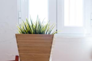 Charming Lapa II quiet neighborhood