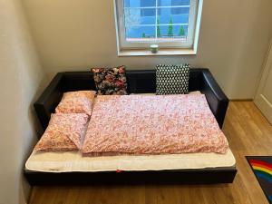 Beržo Kampelis Mieste