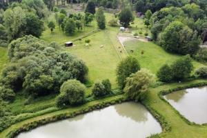 Campings logement au coeur de la nature : photos des chambres
