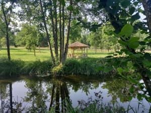 Campings logement au coeur de la nature : photos des chambres