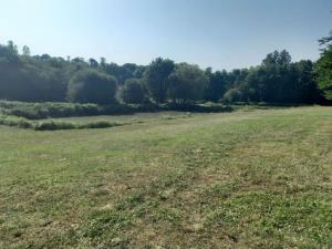 Campings logement au coeur de la nature : photos des chambres