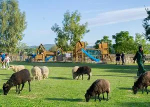 Maison avec piscine location de vacances ferme pédagogique du dolmen - Canet