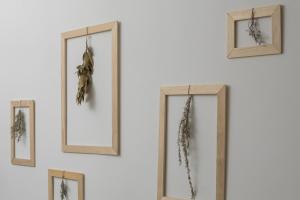 Apartment Storia Parentina