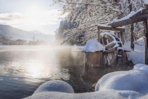 Hotel Bad Neunbrunnen am Waldsee