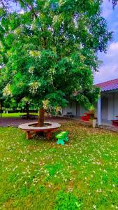 บ้านไม้หอมบูติค สวนผึ้ง