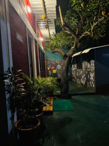 Hostel kuruku santhu colive