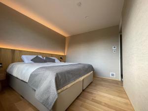 Yamaemi, Spacious luxury chalet 5br, onsen bath