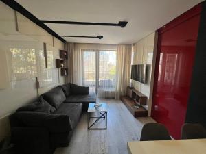 The Mirror Apartment