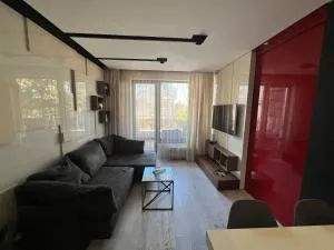 The Mirror Apartment - Vladaya