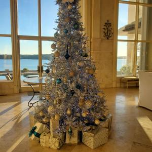 Lakeside Grande Villa