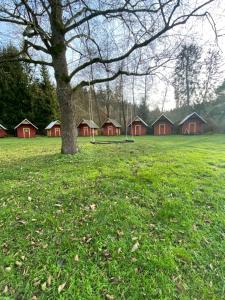 Kemp na Staré papírně