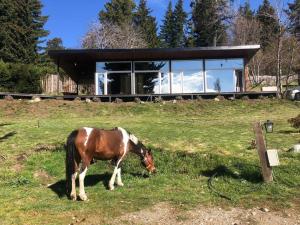 Cabaña Vintage a metros del lago