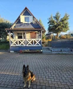 Słoneczna Idylla - Nad Zalewem k Karpacza SAUNA JACUZZI