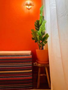 Appartements La Suite Marrakech, Balneo et Parking : photos des chambres