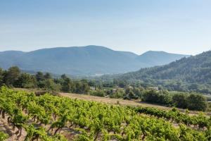 Villas Bastide la Belle Etoile : photos des chambres