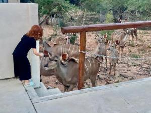 Marloth Park, Kruger safari house - solar