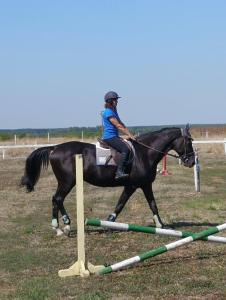 Конна база Ескус Хорсес