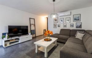 Awesome Apartment In Novigrad With Wifi