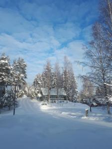 TAHKOn Riihiranta - 4 bedroom villa with lake view - Tilava mökki rantanäkymin