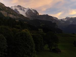 Junior Suite with Mountain View and Balcony room in Beausite Park Hotel