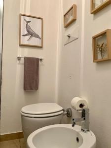 Cute Apartment - city center