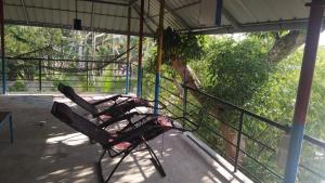 Lake and Paddy Backwater Hostel