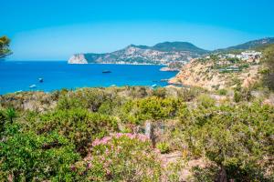 Villa vista al mar, Blue Marlin