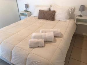 Amplio departamento en la mejor zona de Mendoza