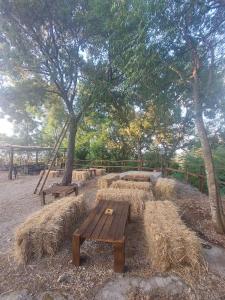 Agriturismo Quota 700