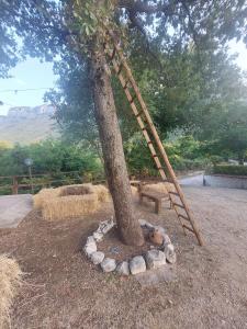 Agriturismo Quota 700