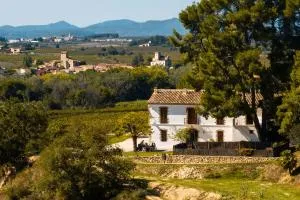 Mas Grimosach - Masía en finca y bodega ecológica - Adults Only - Lavern