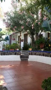 Aquilone Residence - Ginostra