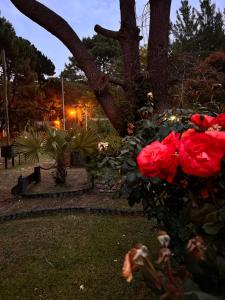 OKIN 6 La Emperatriz