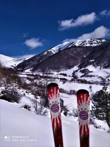 Gujejiani Guest house - Itkol