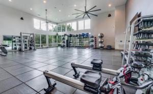 Luxury Appartement with Everything