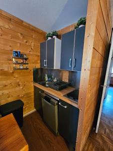 Appartement au pied des pistes La Mongie Tourmalet