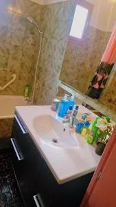 Cosy Home near airport CDG & PARC EXPO - 弗朗斯地区特朗布莱