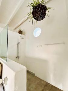 Casa Kira Camarote, Macher